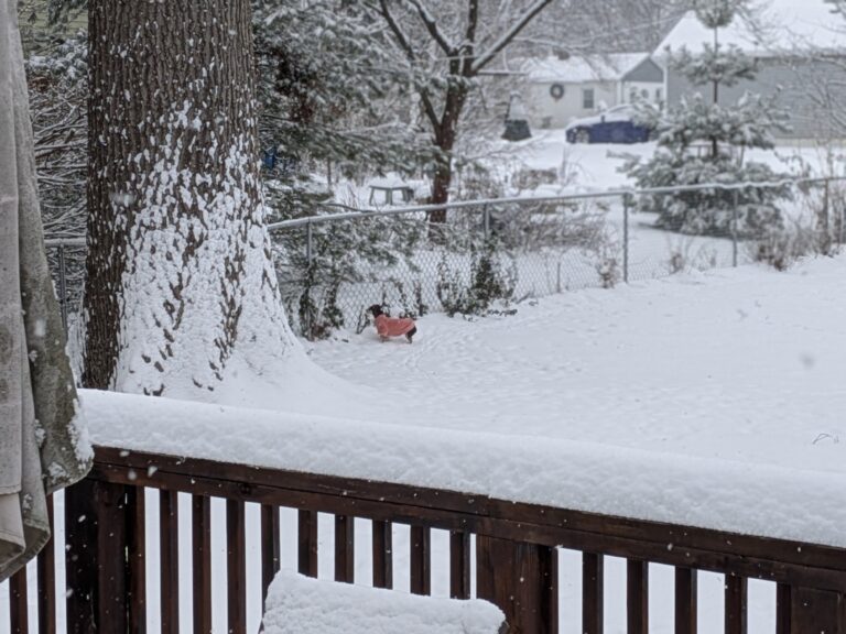 Snow Days