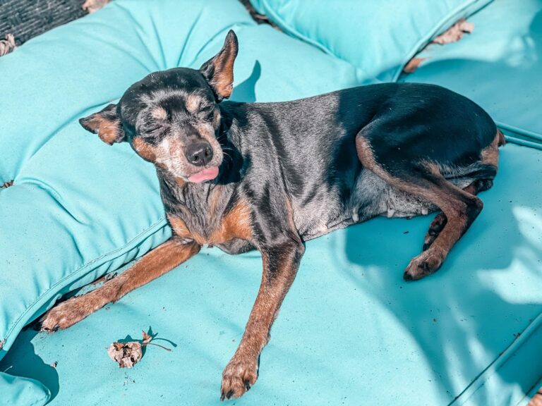 Happy Sweet 16, Snickers
