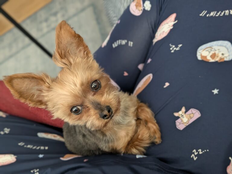 Bentley Health Update