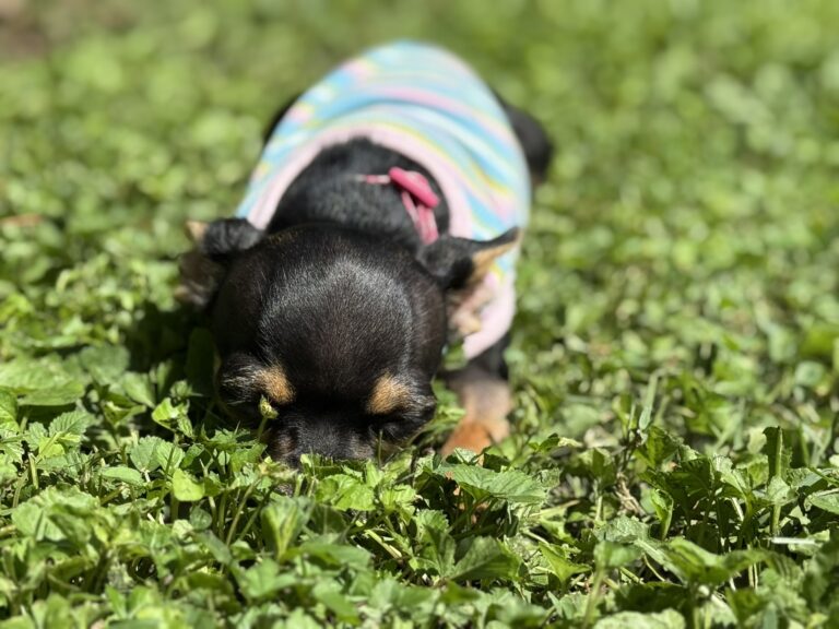 Betty’s Adoption Story