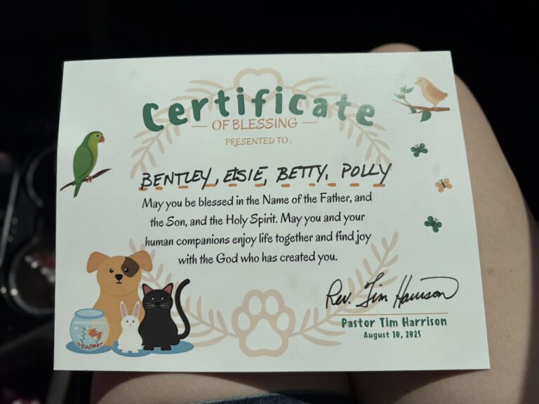 Our Dogs Got Blessed