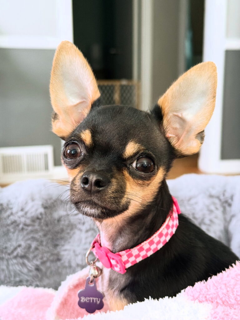 Vote For Betty!